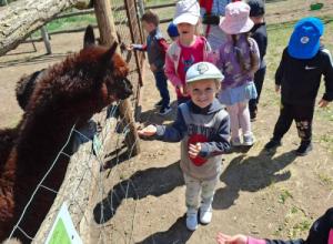 Kirándulás a Zoo Előszállás- Egzotikus Állatparkban Kirándulás a Zoo Előszállás- Egzotikus Állatparkban