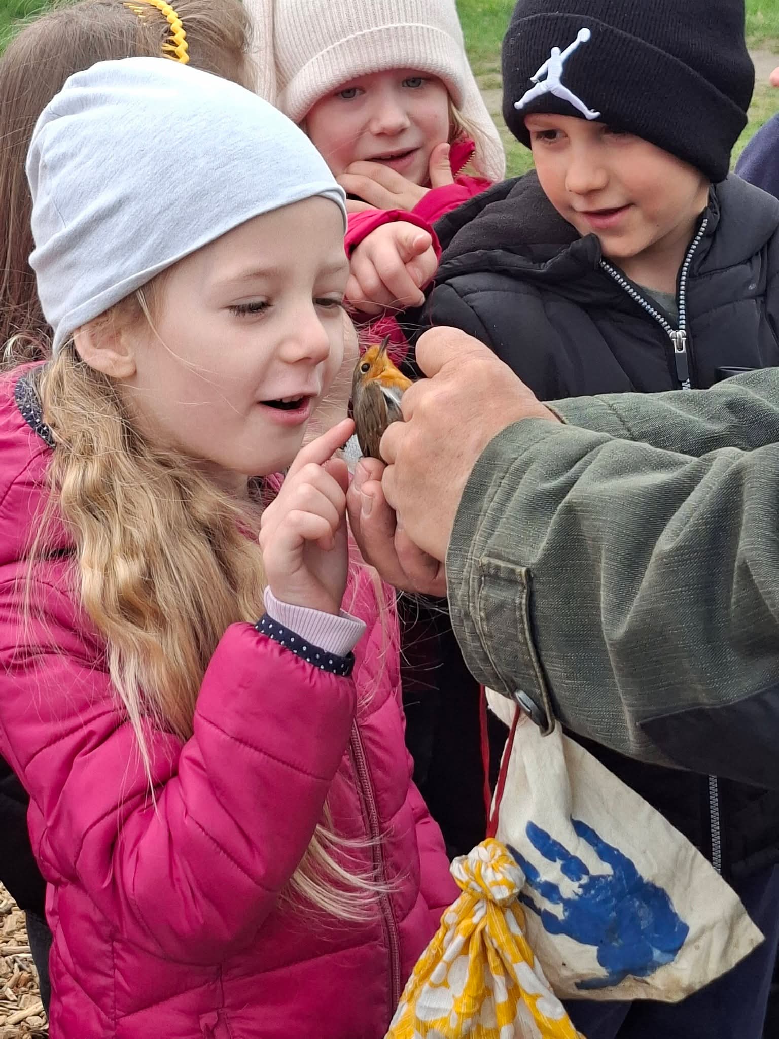 Madárgyűrűzés a dinnyési fertőn