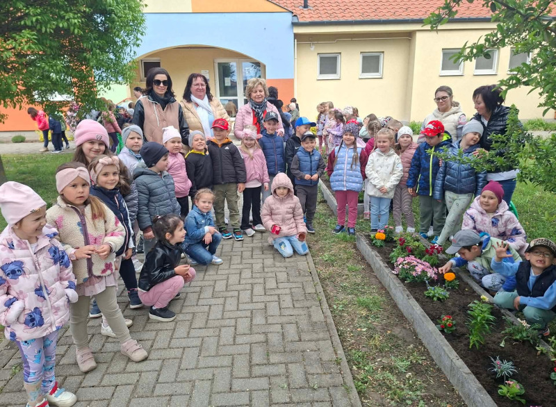 Egy gyermek egy virág